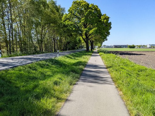 Fahrbahn- und Radwegverbreiterung K 147 Friesoythe