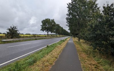 Plausibilitätsprüfung E 233 PA 6