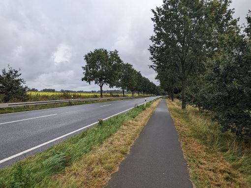 Plausibilitätsprüfung E 233 PA 6