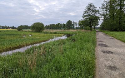 B-Plan & FNP-Änderung in Versmold