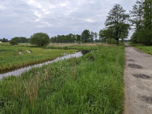 B-Plan & FNP-Änderung in Versmold
